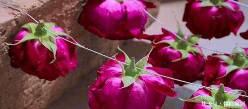 做一桌玫瑰,送给我最爱的你们~