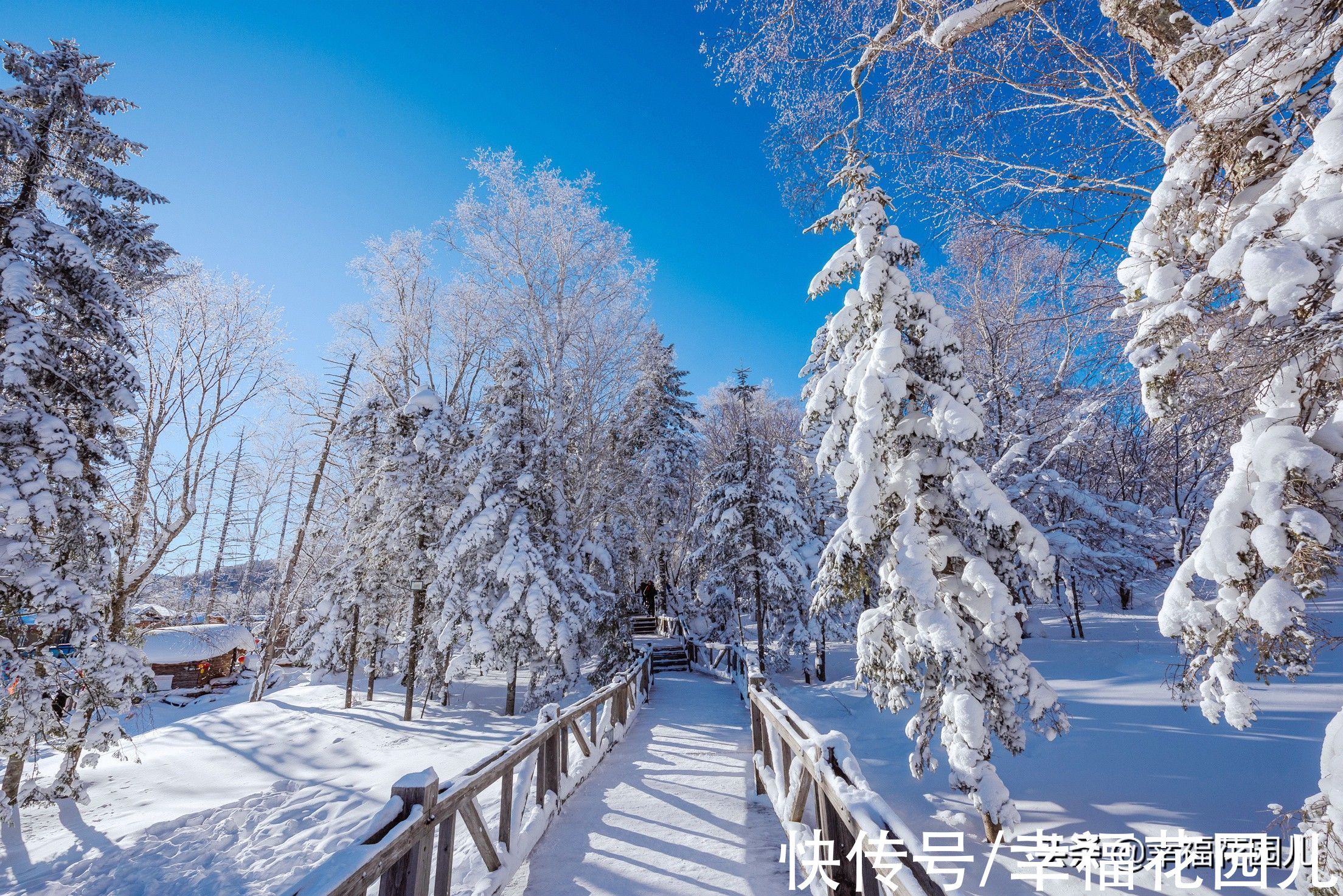 老桥|赏冰、玩雪、看美景，找回儿时过年的味道，就在非常冰雪黑龙江