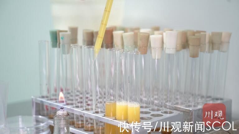 菌落总数|溏心蛋有细菌？再制蛋是“人造蛋”？击破关于蛋的谣言