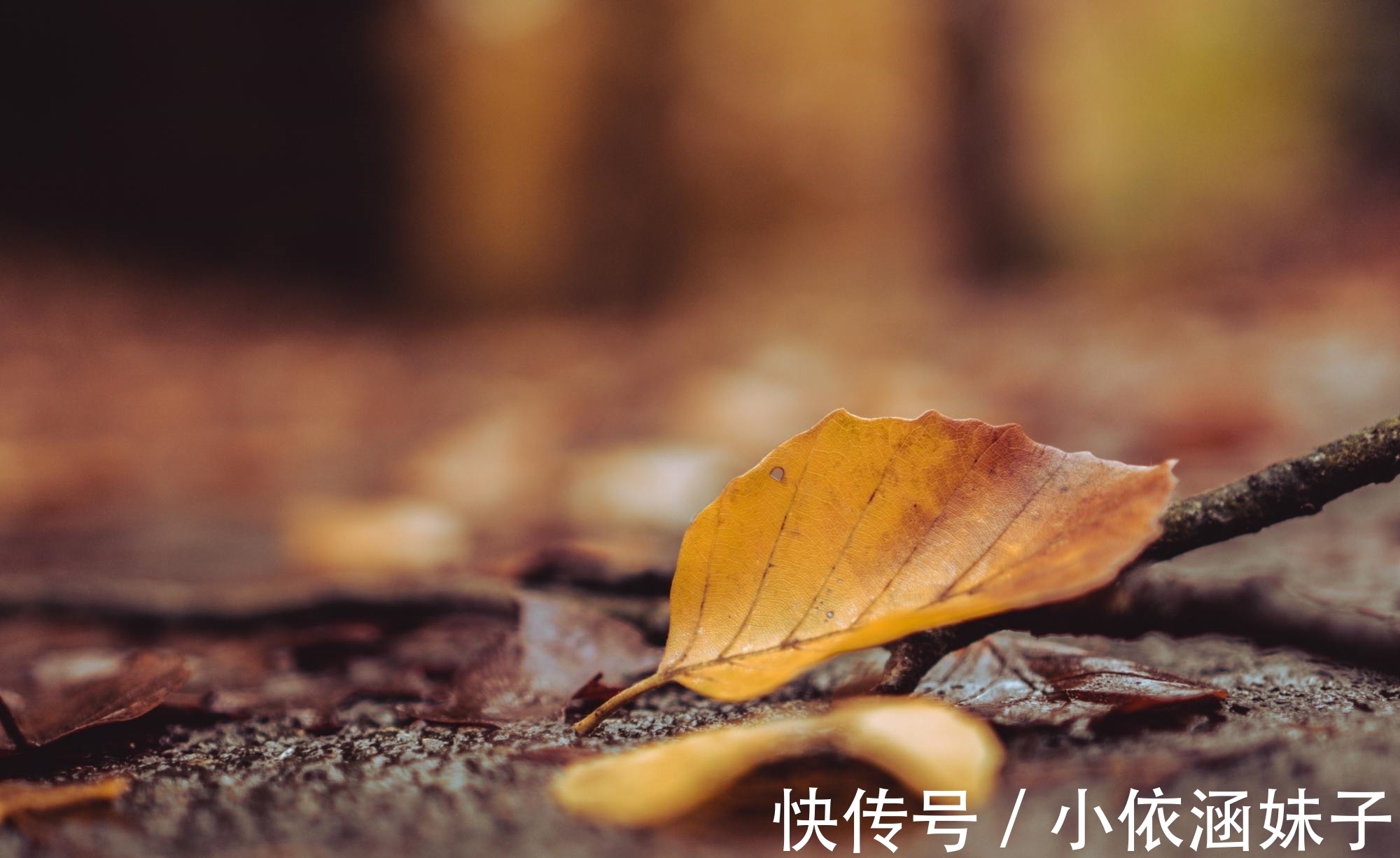 滕王阁序&王勃很经典的一首《山中》,短短20字萧瑟隽永,结尾两句回味无穷