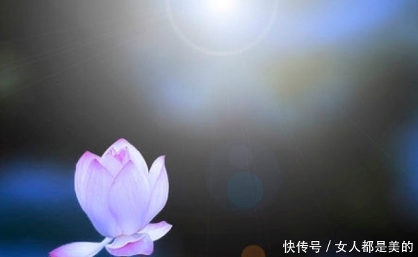 李渤|忍辱，是胜人的一种力量，万法常空灭，无生因忍全