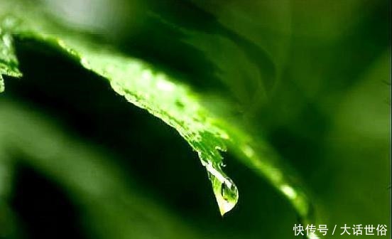 做人|做人要懂三个人,不能欠,欠了会影响一辈子