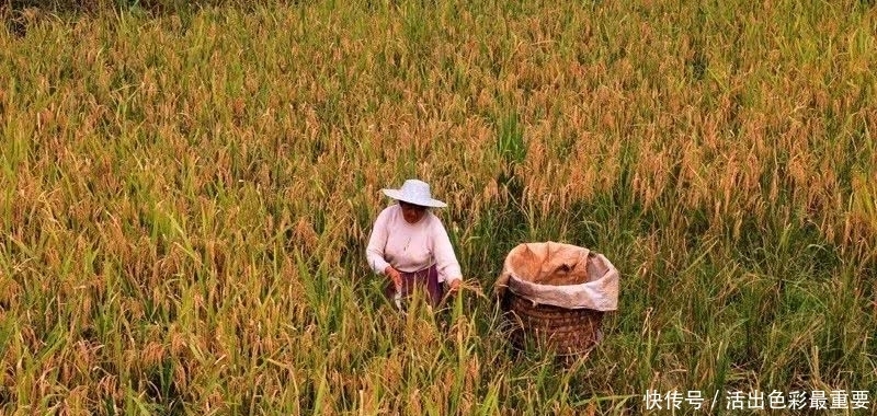 作家|秦川作家张民宗组诗/十月抒怀