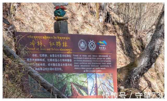 梅里雪山|香格里拉，梅里雪山徒步之旅，真的是太好玩了