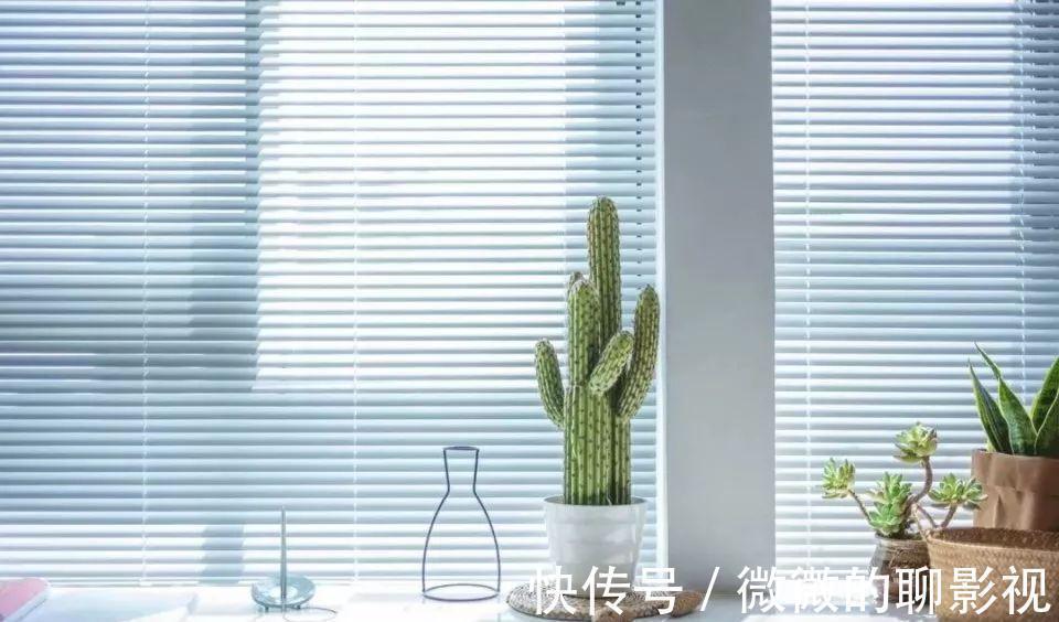 百叶窗|95后小姐姐的独居生活,26㎡温馨小蜗居,活出别人羡慕的样子!