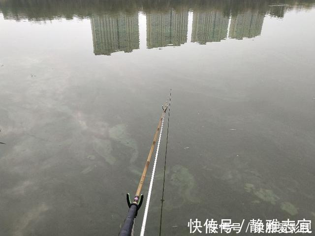 深秋季节转换,野钓鲫鱼钓深还是浅,钓近还是远?四个因素很关键