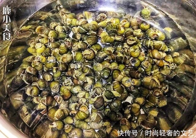 风味|炒田螺,如何炒出大排档风味大厨多加一把料,螺肉更鲜香爽辣