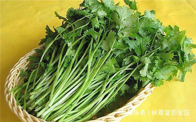 预防感冒|天然的“排毒菜”找到了,坚持煮水喝,排出体内毒素,预防感冒