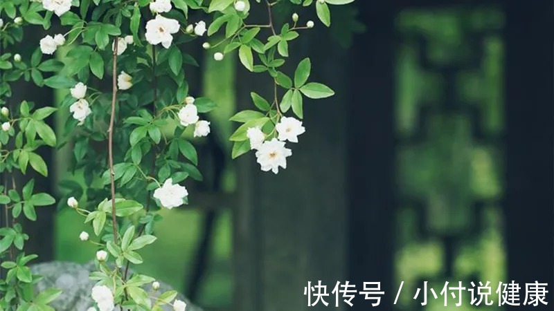 大椎穴|空调房里女性一定要保护的4个部位