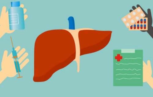 鸡蛋|每天吃一个鸡蛋，对肝脏会有什么影响？肝不好的人，不妨早做了解