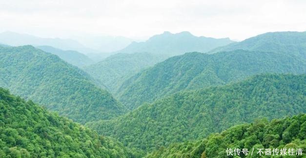 江西|江西赣州这处风景区，不仅广东的自驾游客多，香港同胞更爱这地！