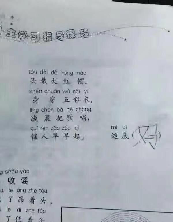 高一|作业能有多离谱？老师：我要窒息了