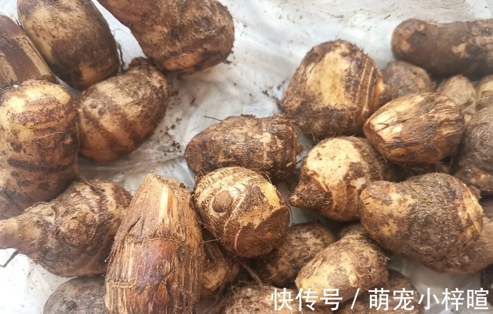 天冷,这些碱性食材放锅里煮一煮,健脾散结易消化,老人孩子都爱吃