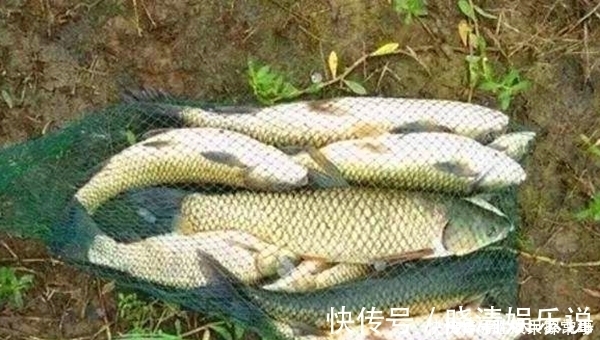 浮漂|夏季手竿钓大鱼4大秘诀,常用这些招数,大货也能连竿上
