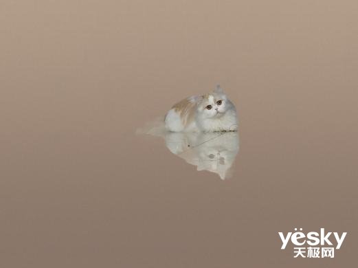 ultr“白天不懂夜的黑” 三星Galaxy S22 Ultra:我却更懂夜的美