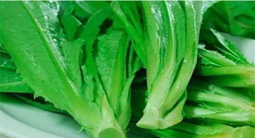 益气|夏天爱美都会吃，不妨吃的食物，补水养颜，活血益气，吃了变年轻