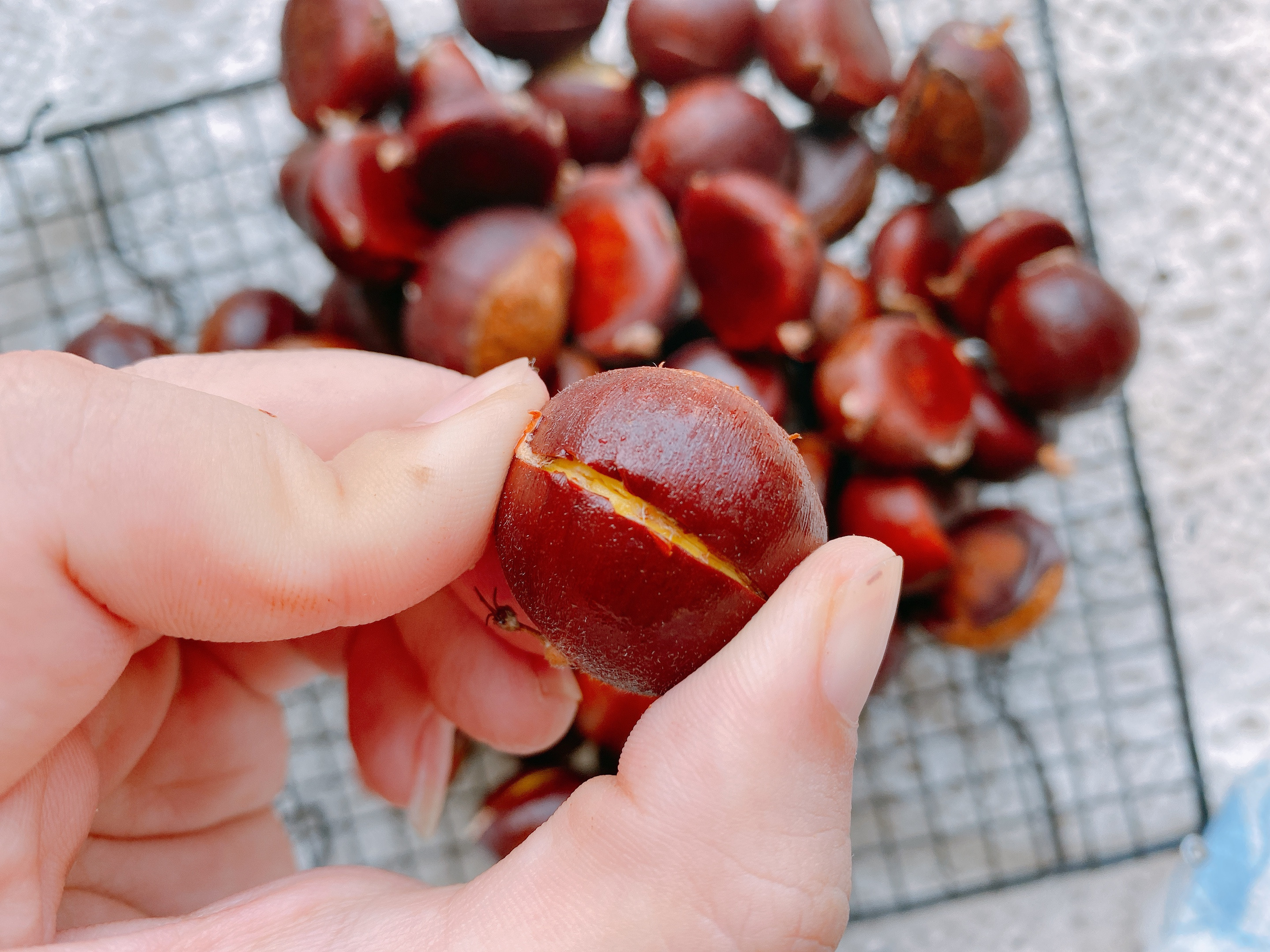板栗最好吃的做法,香甜绵软,学会窍门,开口快,剥皮容易!