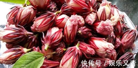 蚬子|会吃的人最健康,3种食物离不开,排毒养颜,有益身体!