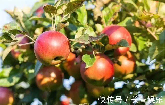 偏高|甘油三酯偏高,少碰2黄,多吃2果,摒弃2习,血脂或慢慢往下降