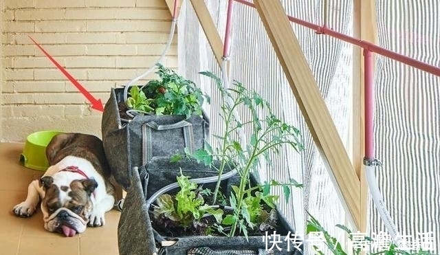 客厅|35平实在太小！客厅沙发都放不了，层高也不够，还好能装成2室1厅