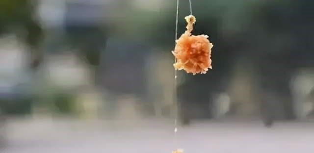 冬天|别觉得冬天气温低就不好钓鲫鱼,注意这几点,再冷的天也有鱼口