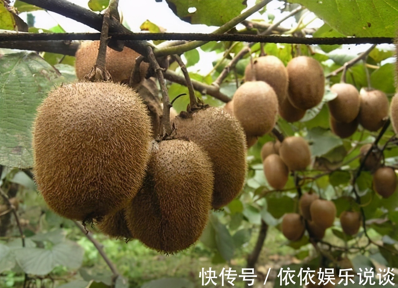 莴笋|血糖高的人,饭后有3种表现,若都没有,血糖控制得还不错