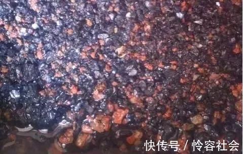 盆里扔2样东西,养花10年不烂根,叶子油光瓦亮,花苞挂满枝头