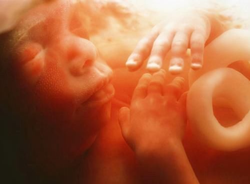 宝宝|被宝宝的四维彩超照丑哭了?不是医生技术不好,而是有客观原因的