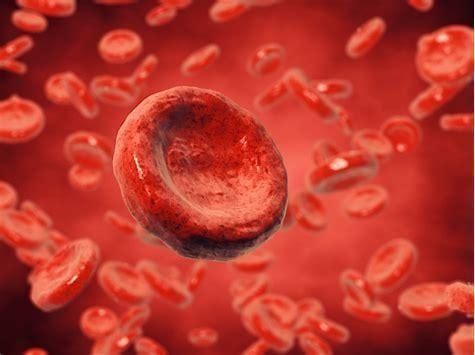 癌症|癌症的发生和血型有关O型血最长寿、B型血易患癌告诉你事实