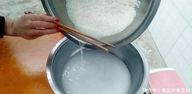 淘米水兑点它,营养足酸性大,发财树浇一点,新叶新芽一起冒!