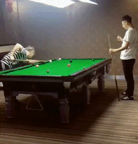 |搞笑趣图:逛完步行街,回到家里的你