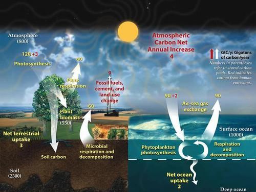 地球真的会在这个世纪达到环境临界点吗？到时人类会灭绝吗？