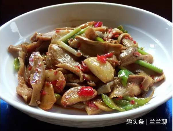 红椒|严选43款菜肴分享,简单的美味好吃下饭,一起快乐下厨吧