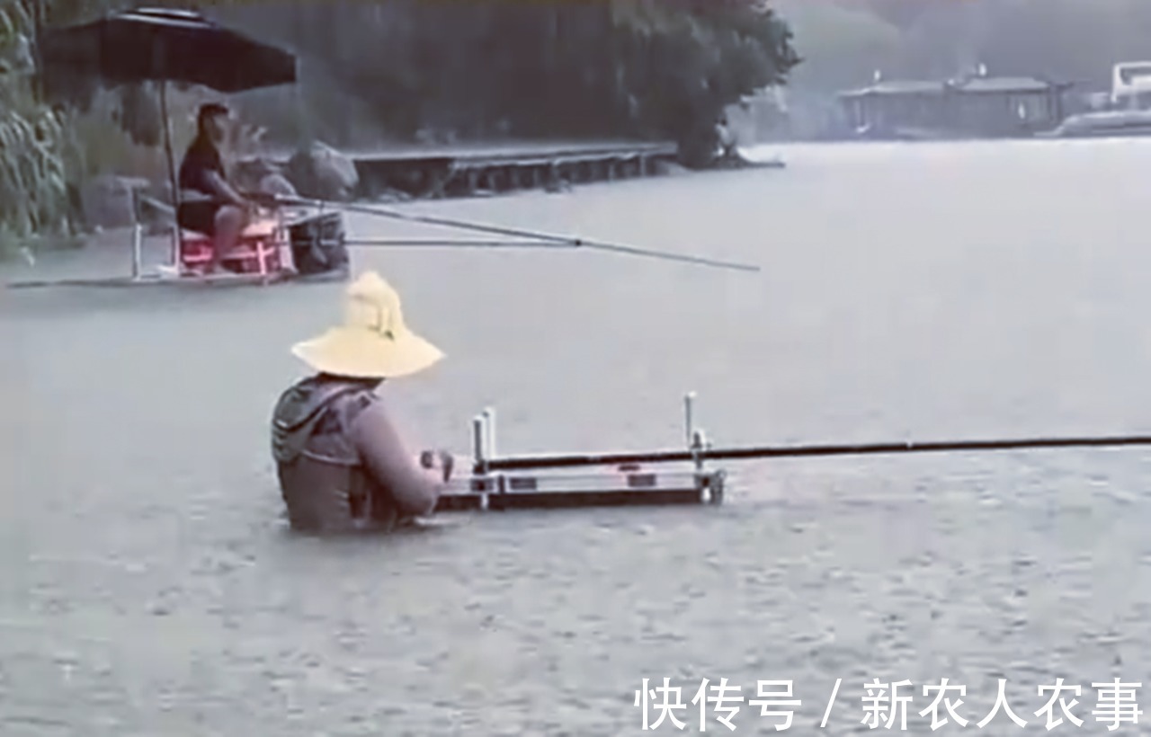钓鱼|钓鱼也有瘾?江苏男子冒着暴雨在湖边垂钓,水淹到脖子仍纹丝不动