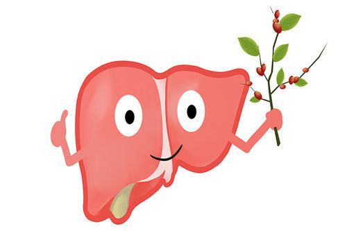 “天天枸杞水,活到两百岁”,有科学依据?枸杞泡水,有啥好处?