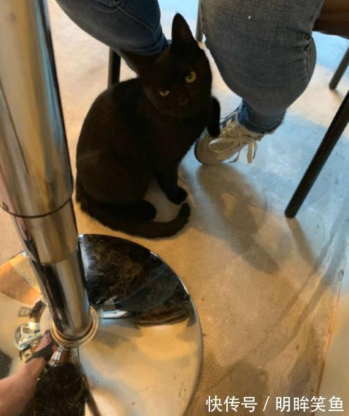 |搞笑GIF：姑娘你矜持点，你的演绎浮夸得让我害怕，哈哈哈