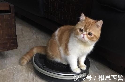 洗碗机|网评最“坑”的12个家具家电,我家就中了5个,谁买谁后悔!