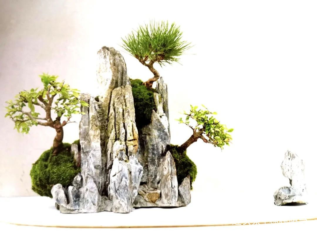 网篮|山水盆景不是非“水”不可,看山石与树木如何演绎一道山水盆景!