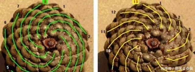 哈佛校长：数学好的孩子，都有这3个“怪癖”，家长别盲目纠正