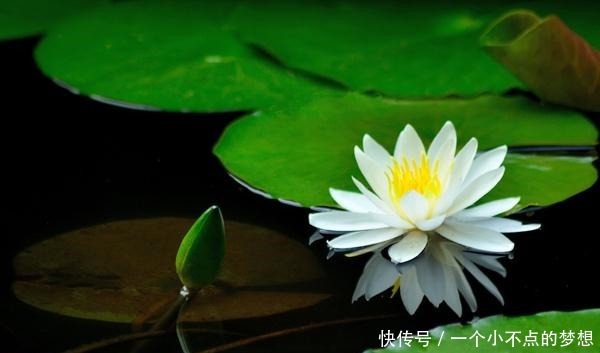 做人,别干4种“傻事”,方为处世的“高手”