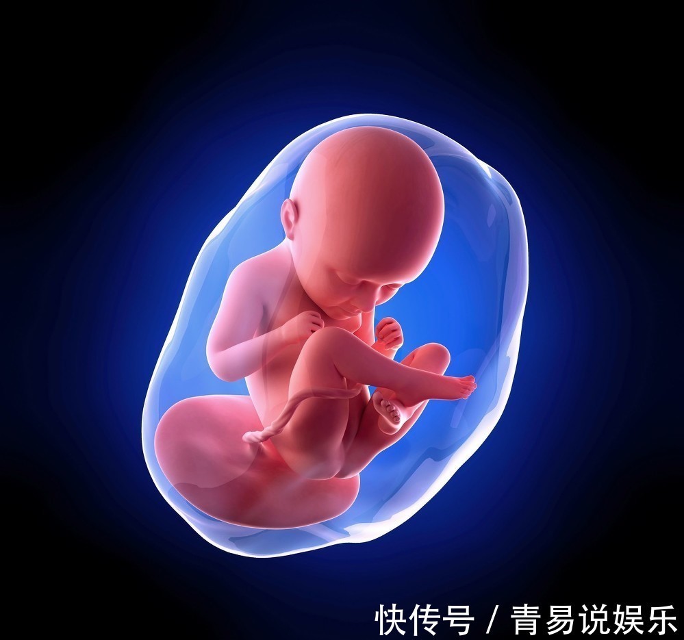 真相|打胎后,胎儿最终都去了哪里真相令人愧疚