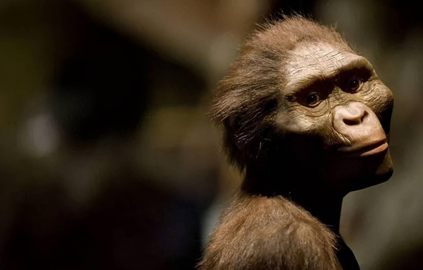 直立人|为什么动物分娩后代那么轻松,人类生孩子却疼得撕心裂肺?