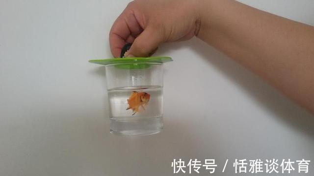 参数|气压多少帕才能去钓鱼，得了解这三个参数值，才能心中有数