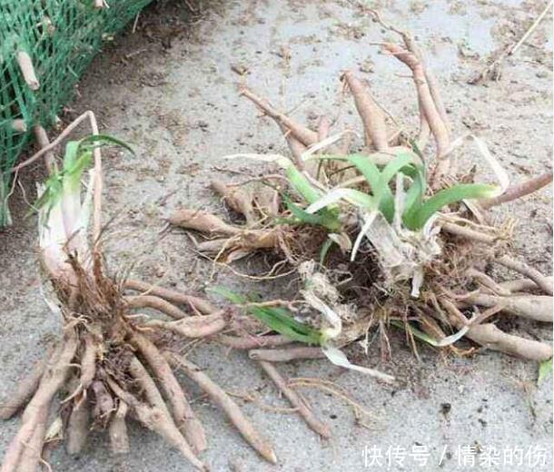 乙肝转阴“3部曲”,不论男女,都值得去试一试早知早受益