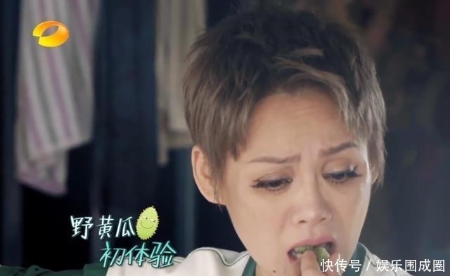 黄龄|宁静与老板娘互怼，张雨绮笑出表情包，万茜淡定看戏