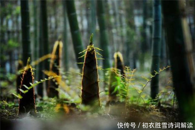 惊蛰节气春雷美诗6首:春雷一声发,惊燕亦惊蛇