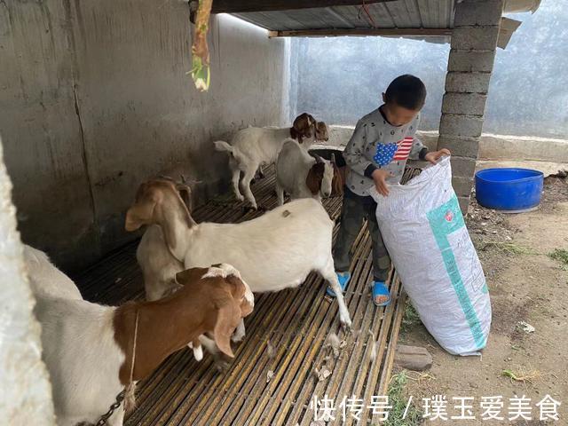 姑父|父亡母走,8岁男孩在姑姑姑父庇佑下长大:他们是我的再生父母