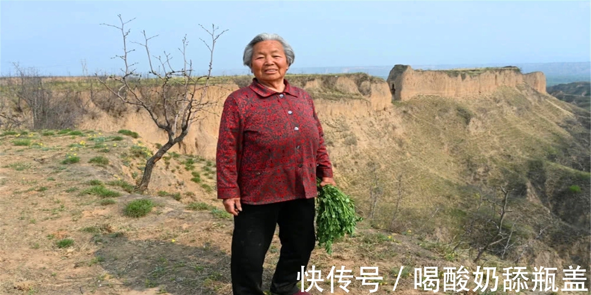 木板|黄土高坡100米墙隐藏着神秘的城堡，80岁的老大姨揭开了秘密