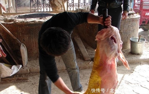 烤全羊|男子卖烤全羊1800块钱一份,听着贵,走进一看却都想吃