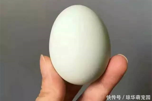 怎样祛眼袋？中医还真有办法，支你3招，一招比一招强，女性要看